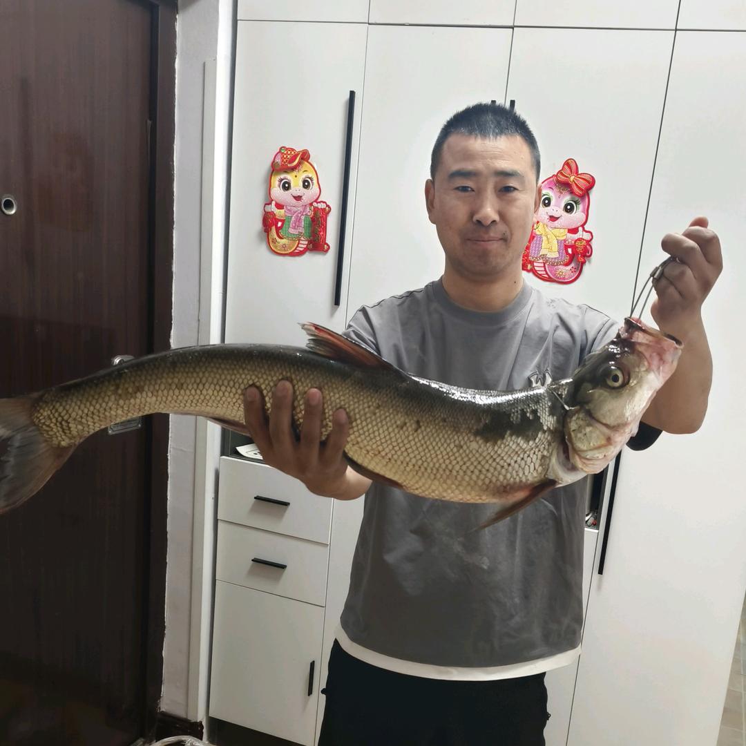 路滑钓鱼--任超