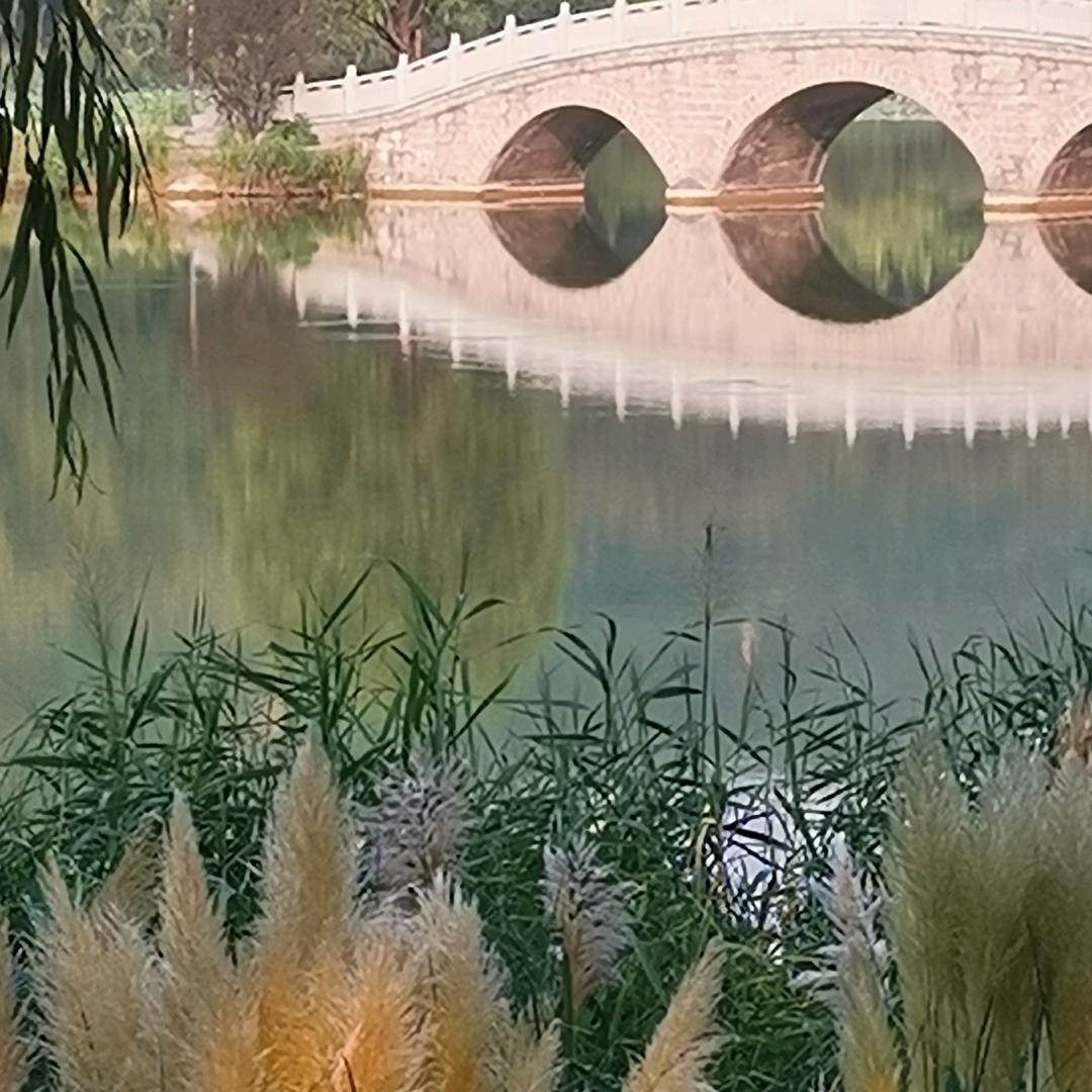 自由的我