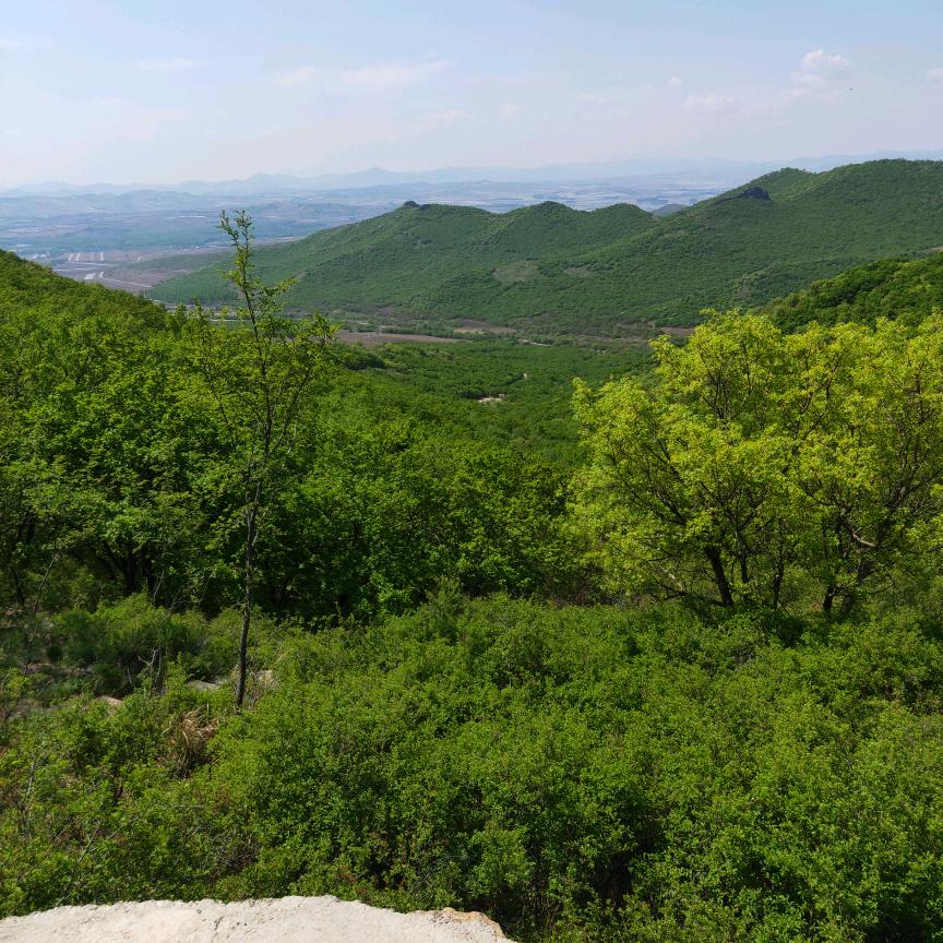 革命大哥叫瘦猴