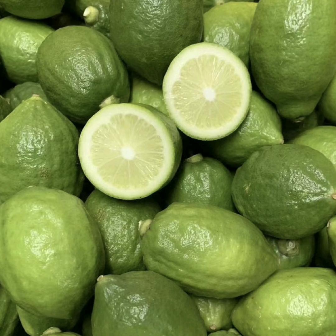🍋柠檬🍋
