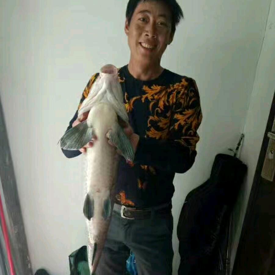 心中的阳光