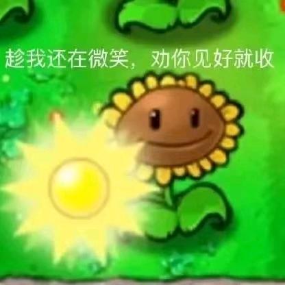 快来找我买琴