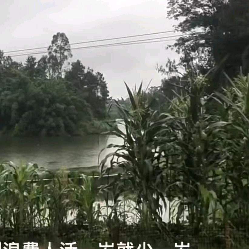 🌻🌻华哥🌻🌻