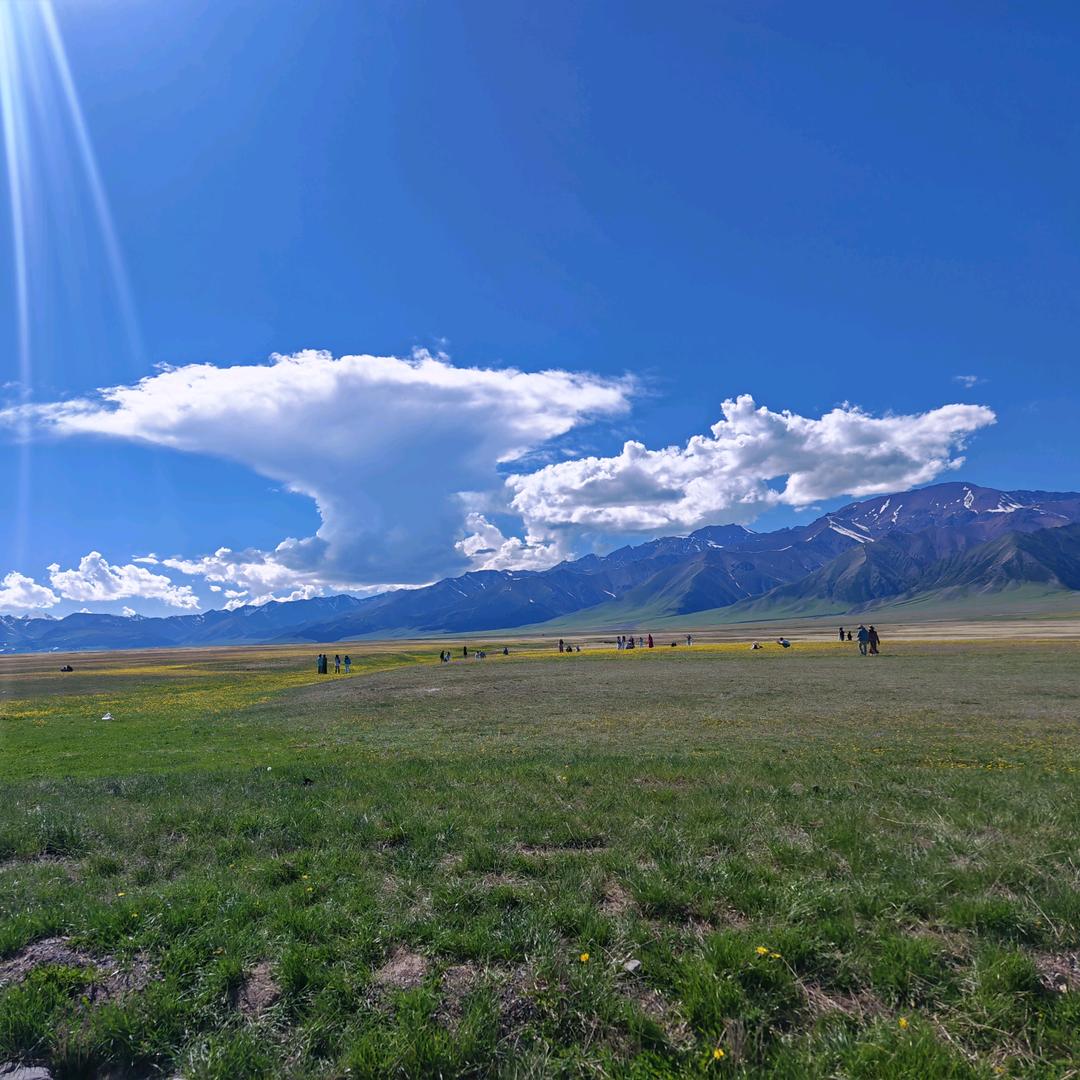 犇鑫垚种植专业合作社