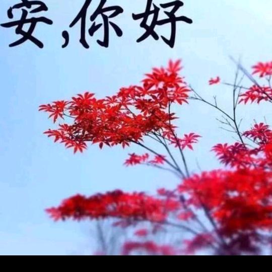 爱你不是说说而已