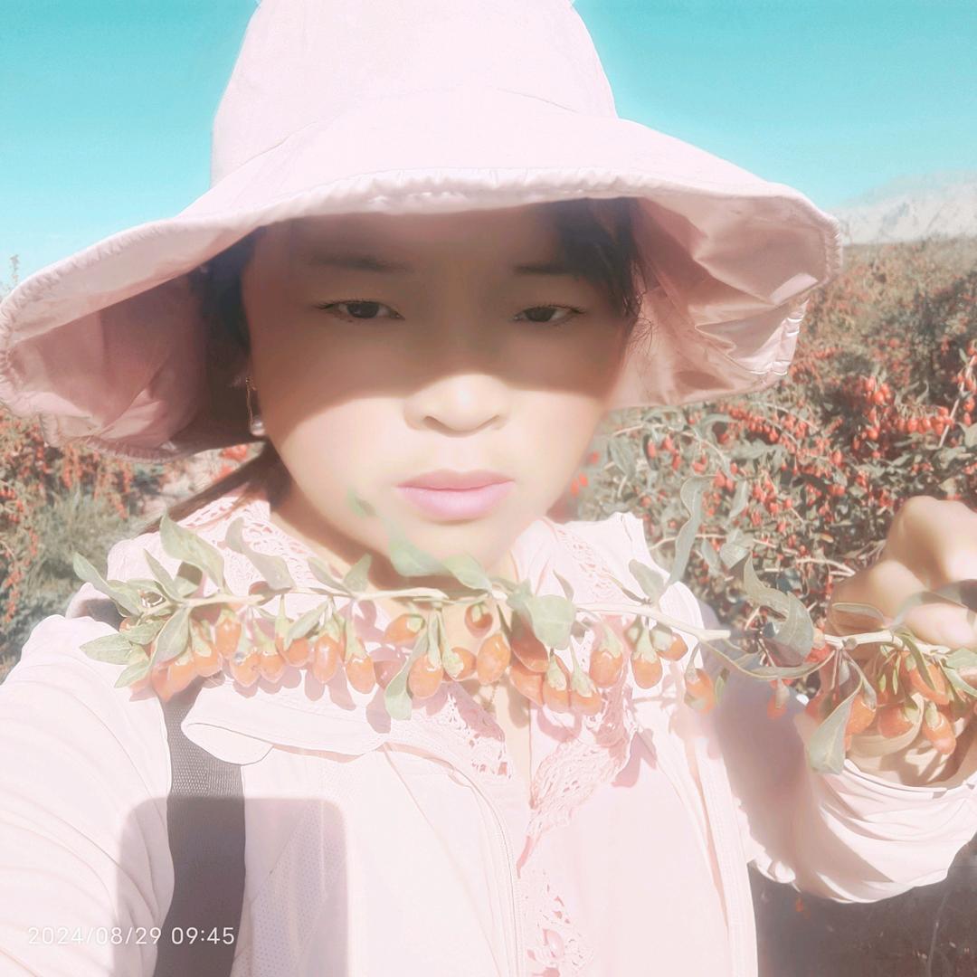 一剪梅