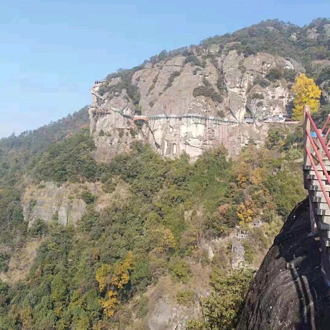 陀沙宝宝