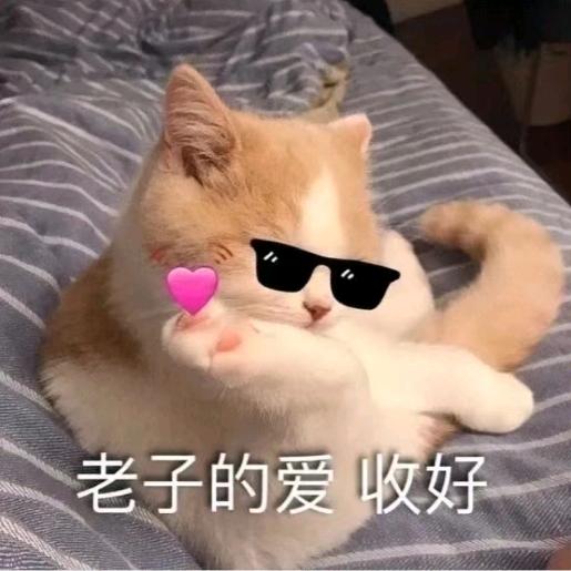 弦子喵