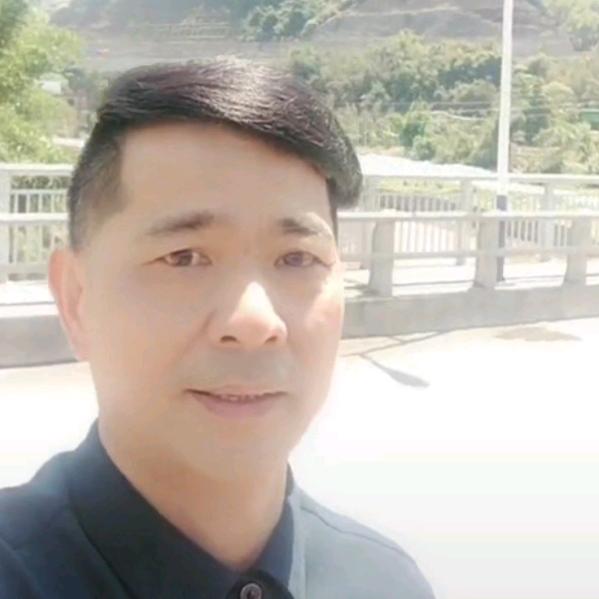九条龙