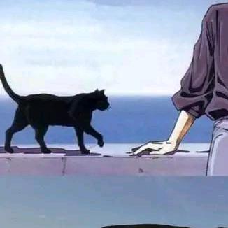 琉璃瓦上的夜猫