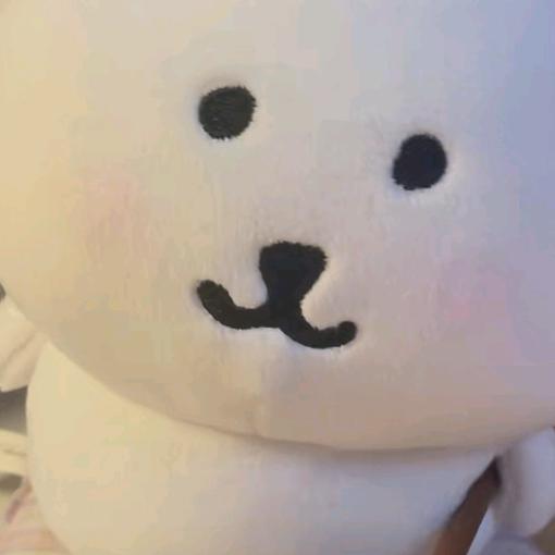 南瓜别再伤心