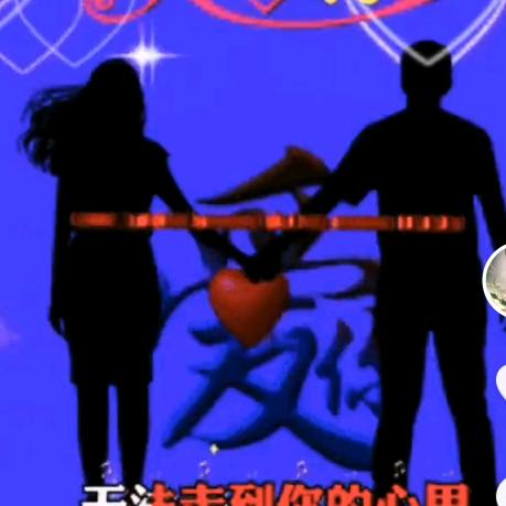 兰姐养殖黑山羊