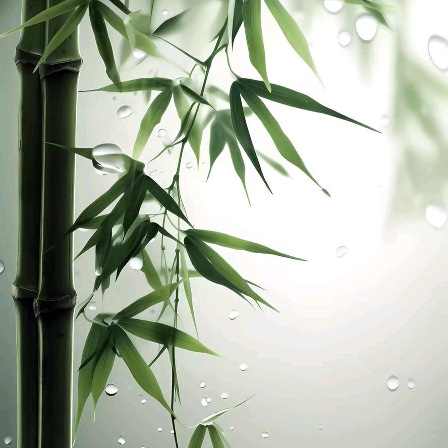 再回首、已不是少年