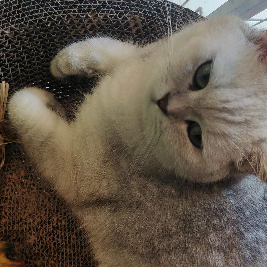 摆烂自愈的一天