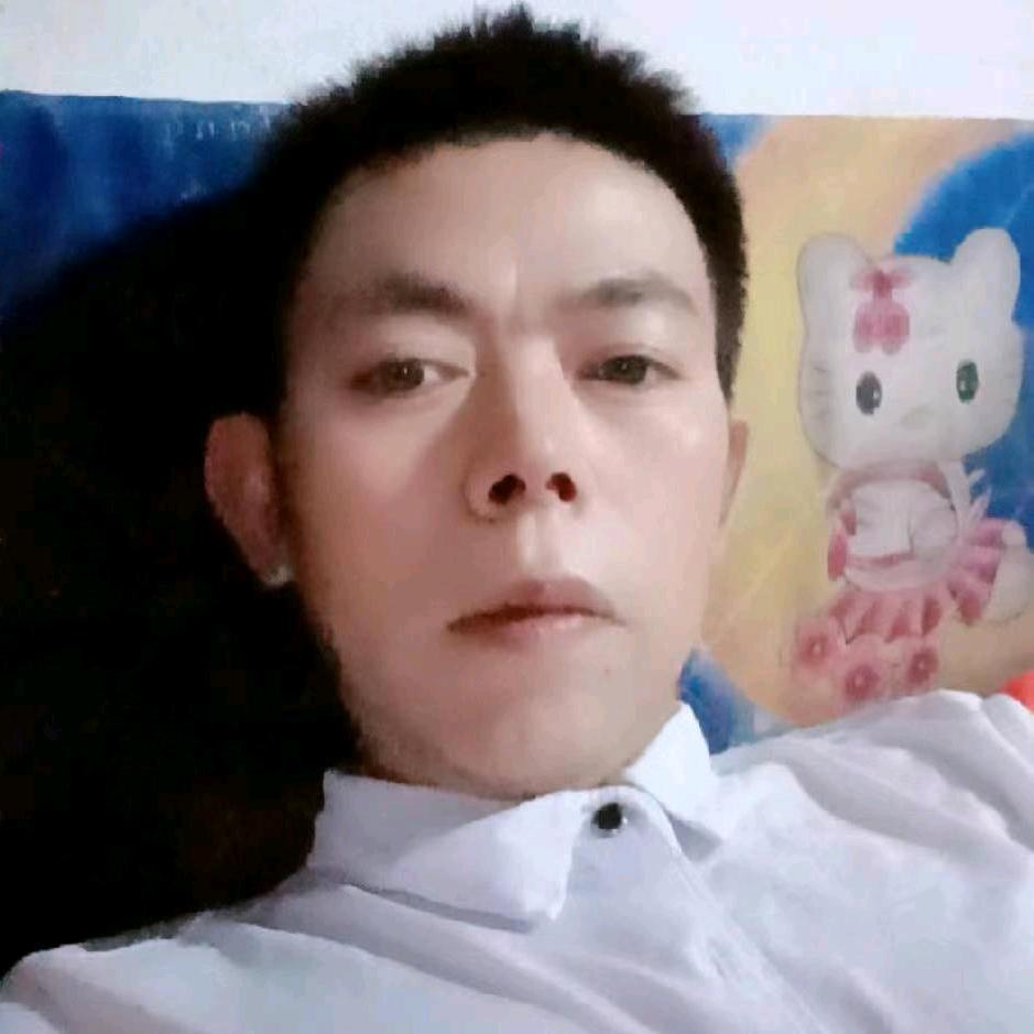 汪墩林丰放养山鸡