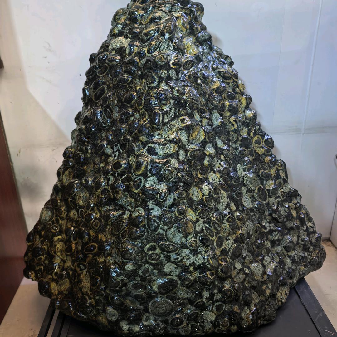 小金哥