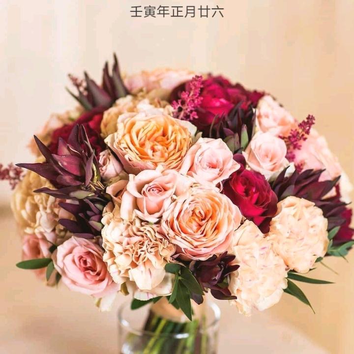 凤儿