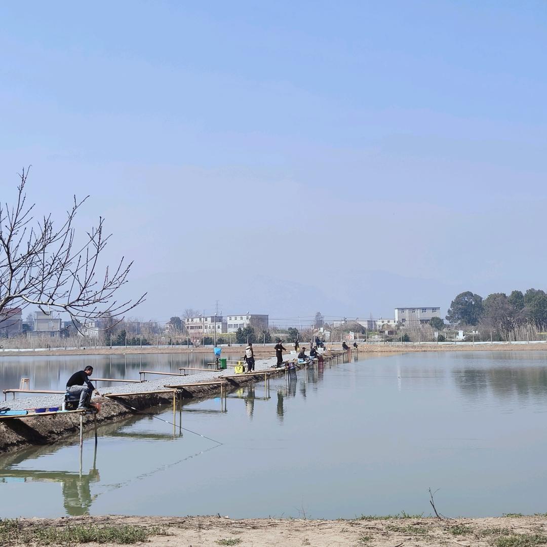 青山钓场(安庆大枫)