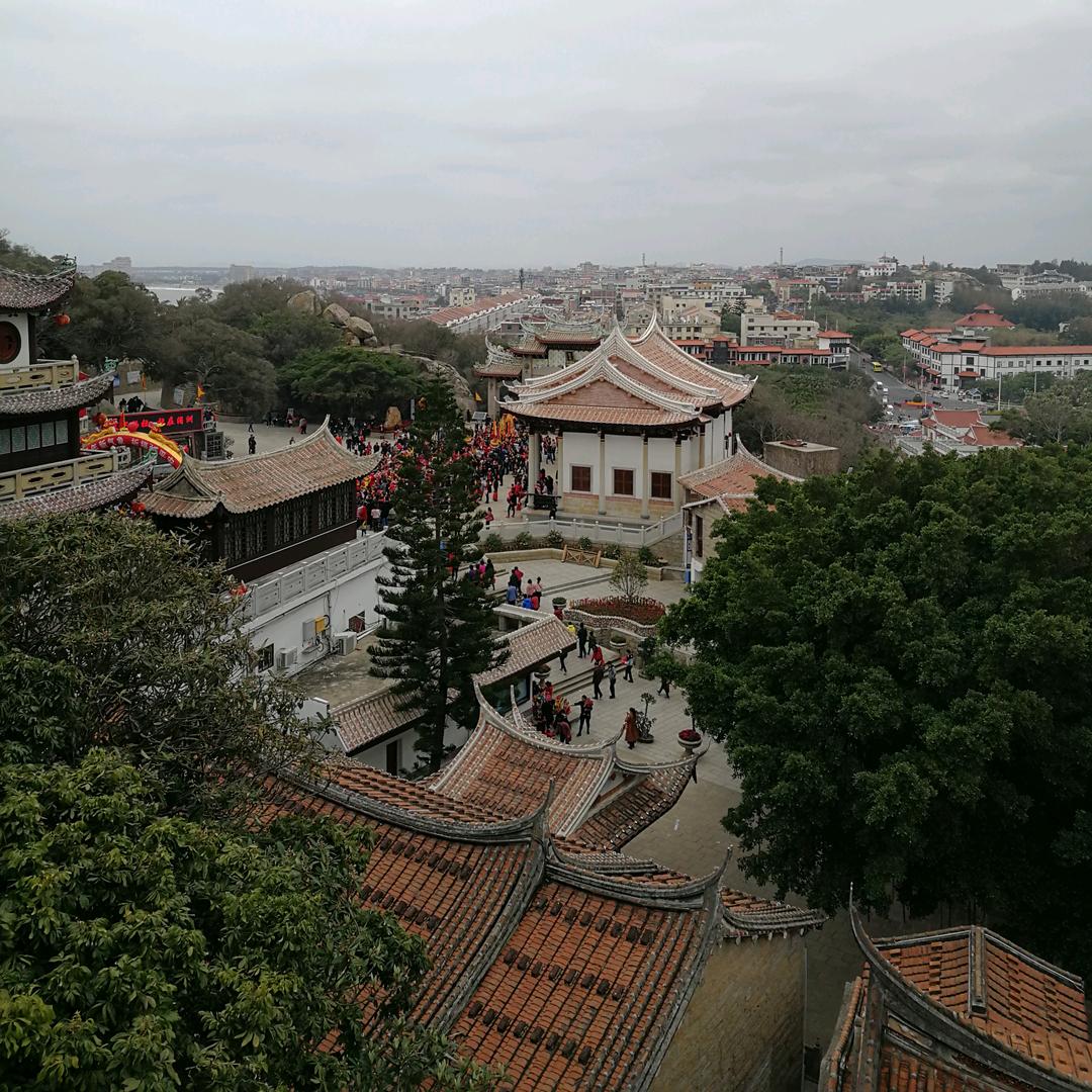 小小仙子