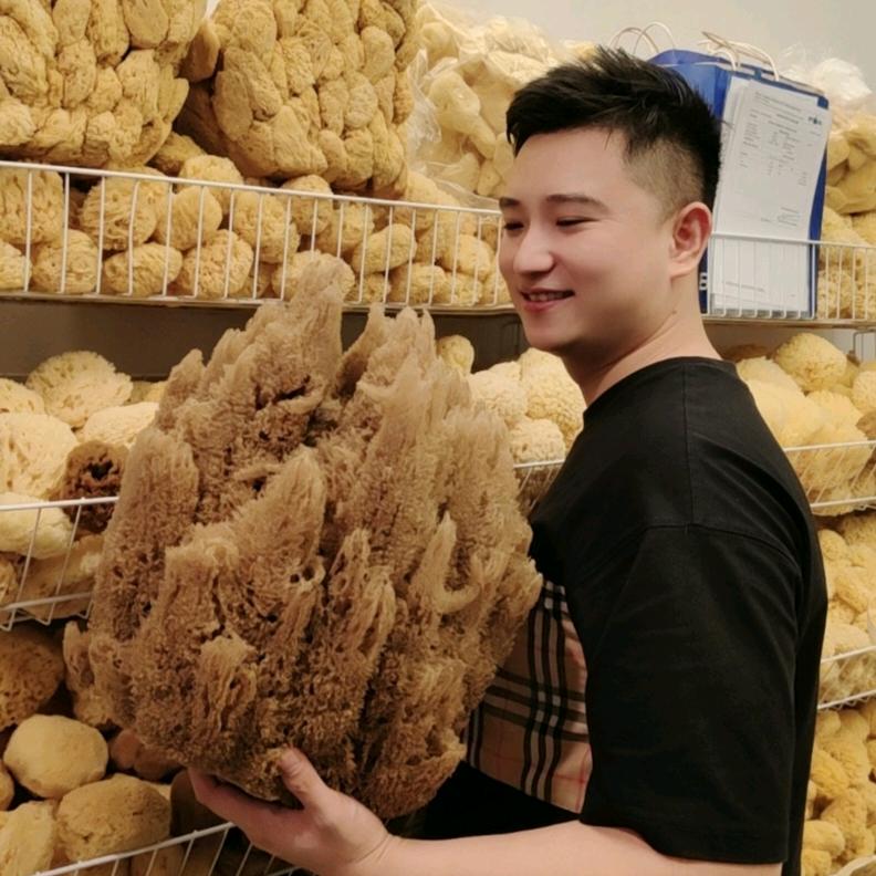 欧子(天然海绵)