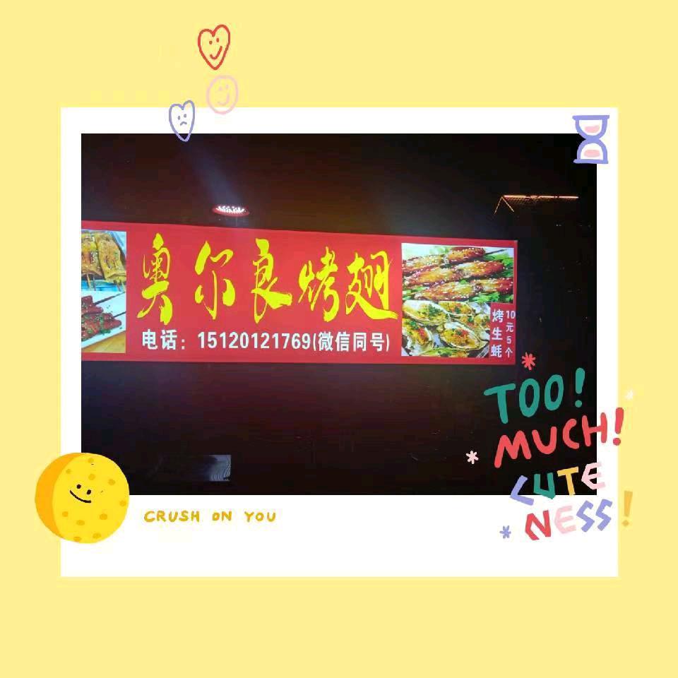 🐶¹⁹₉₄👑 ℘࿐卖烧烤的小姐姐