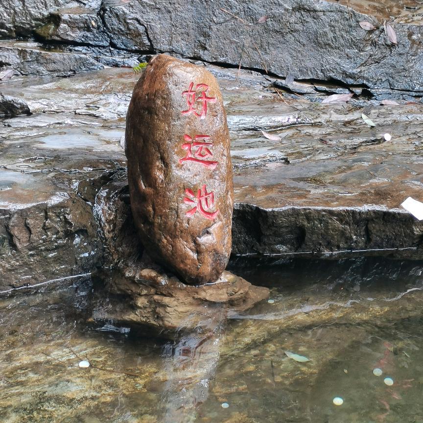 陈心陈意