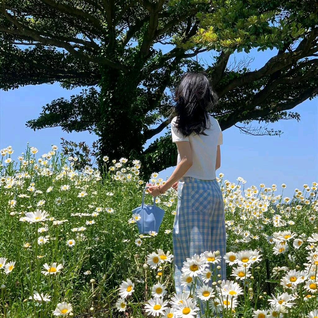 🇨🇳橙子味阳光