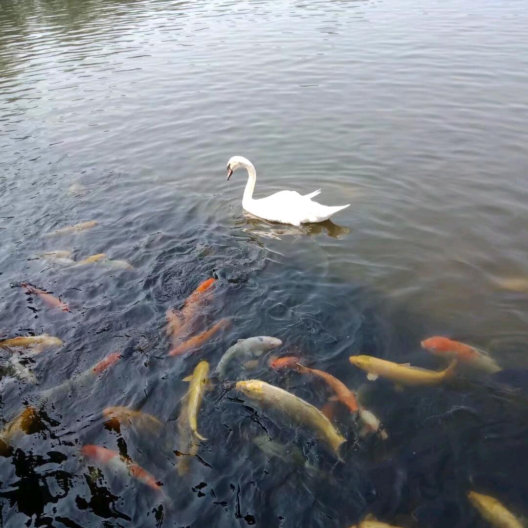 小霞美食百货铺