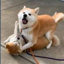 唯见