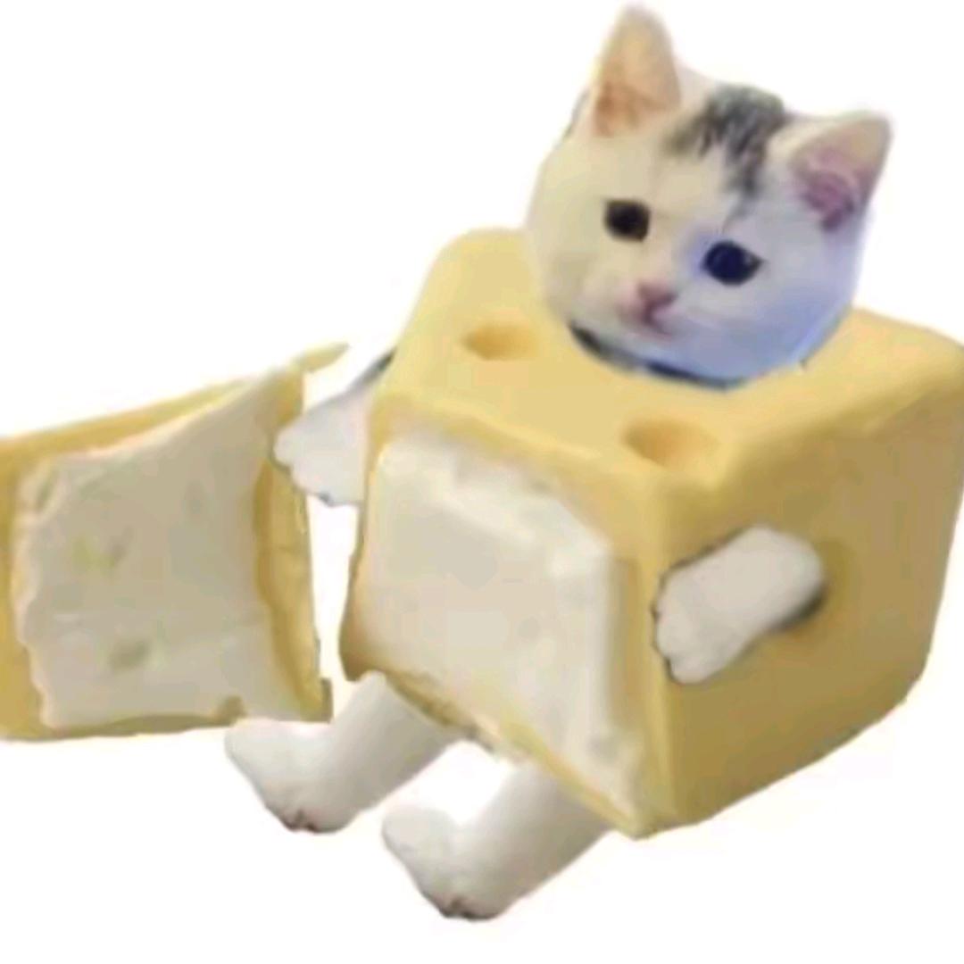小羊呆