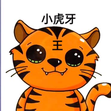 山东 小虎牙