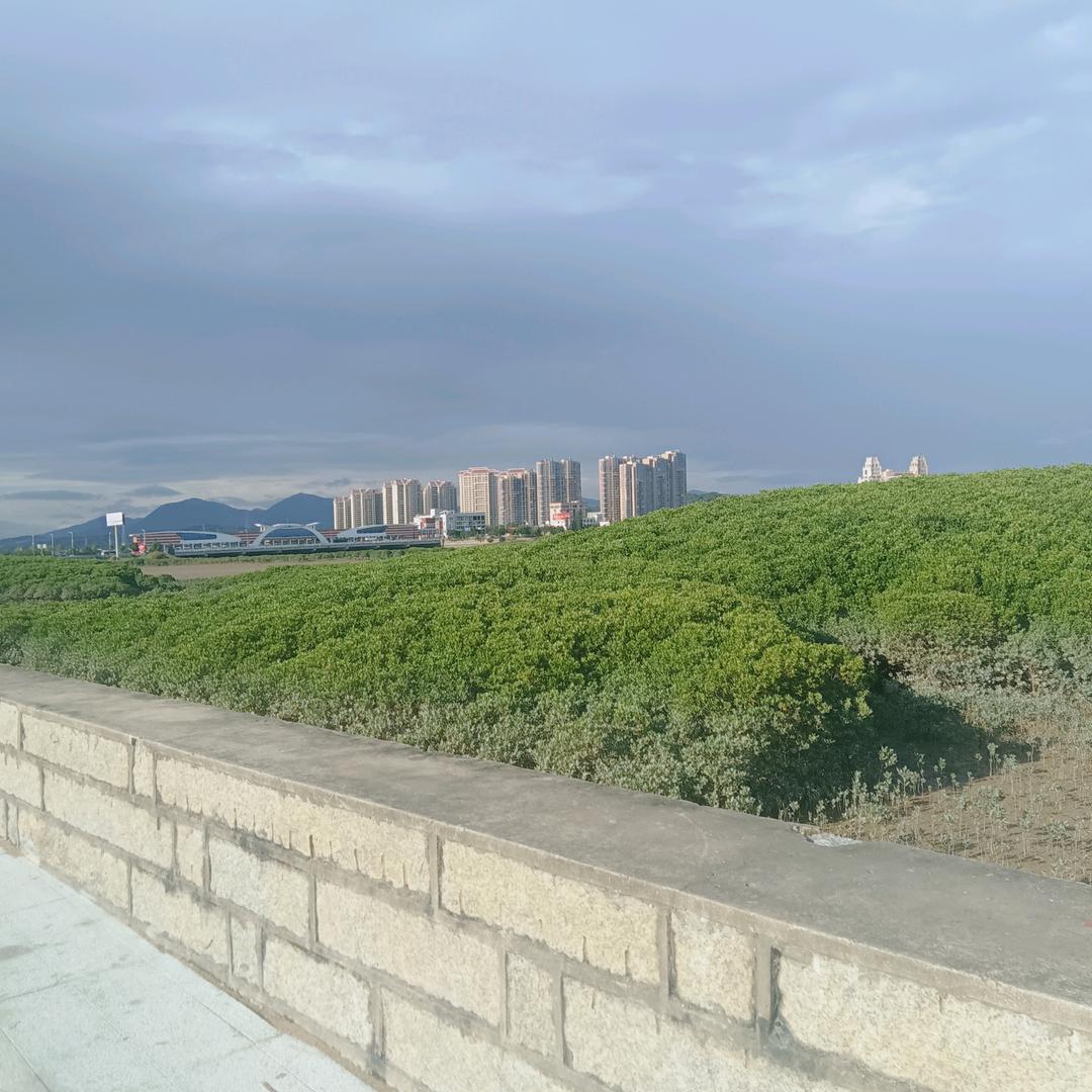 阿飞