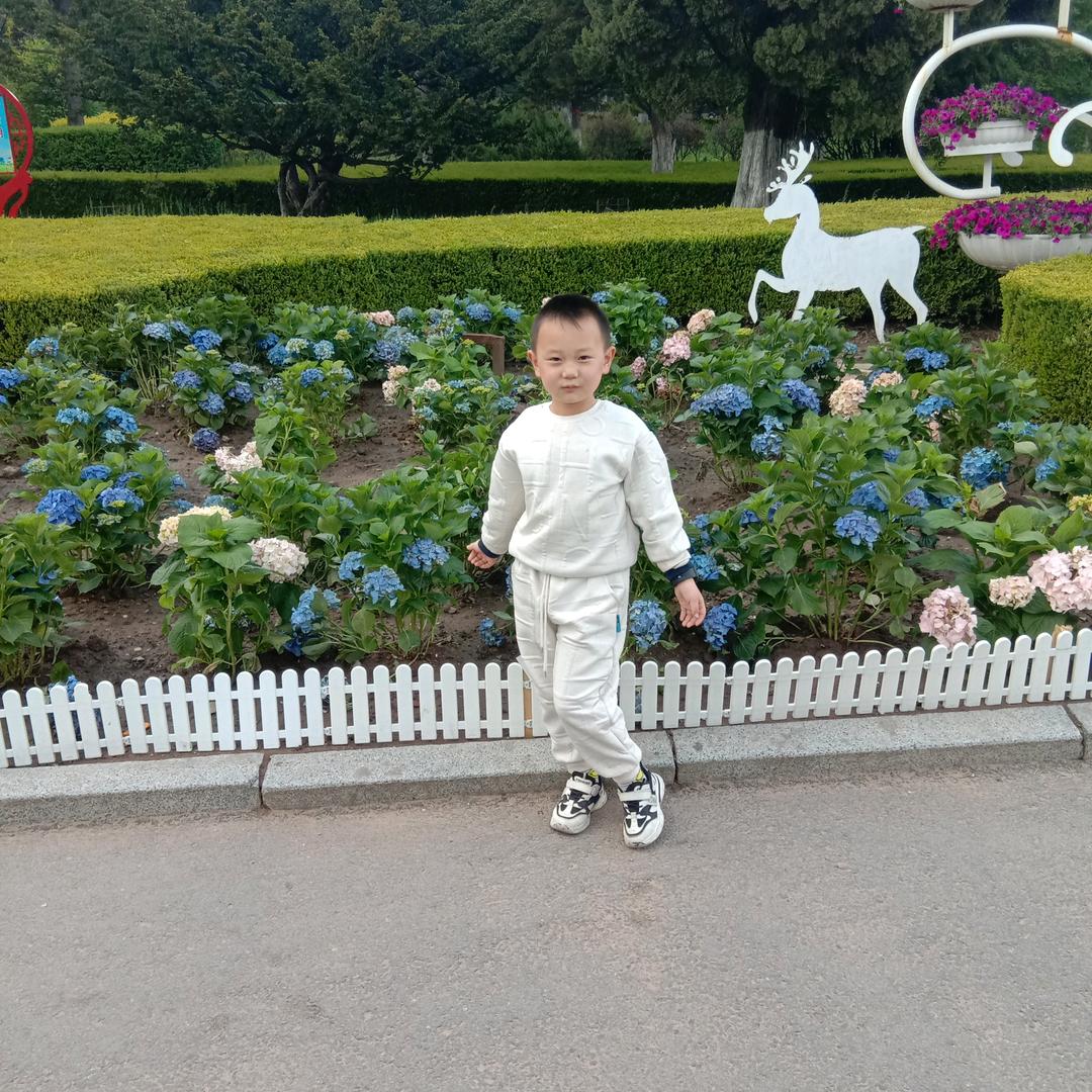 潘泓冰爱吃汉堡🍔𡿨不定时更新）