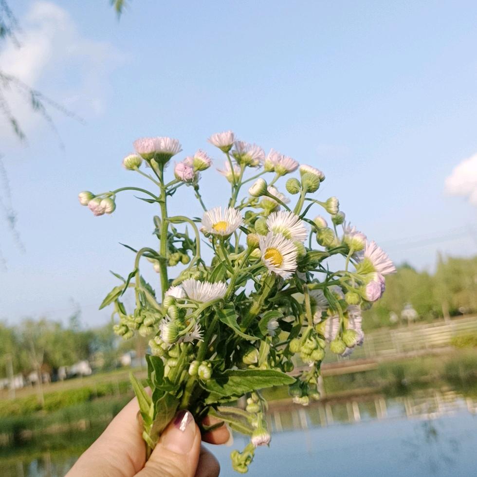 是小李呀、