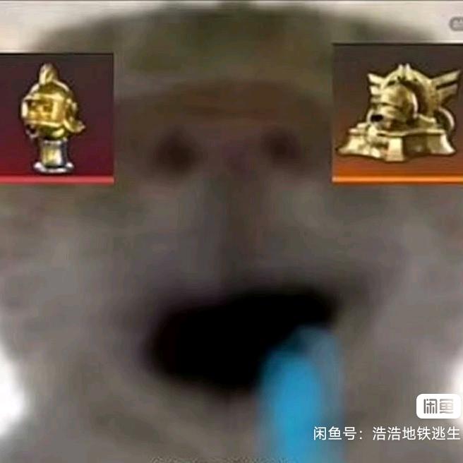 欧皇鼠鼠（接三角洲跑刀）