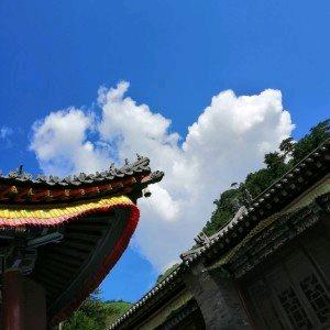 多读书多运动