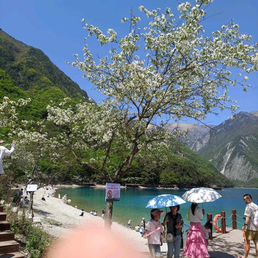 l风轻云淡