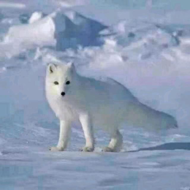 良哥🇨🇳✈️