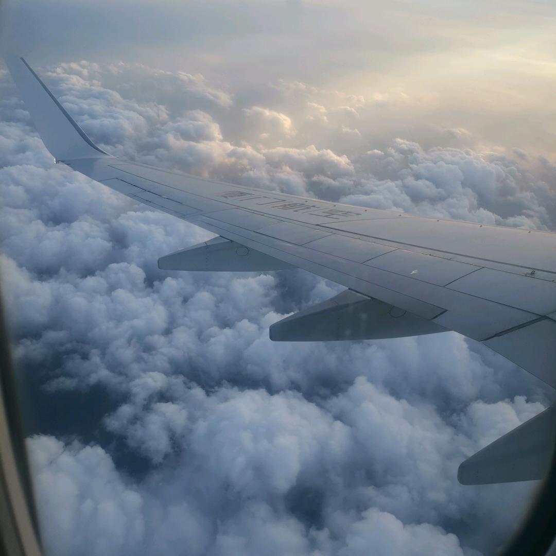 鹤在云中飞，山高人为峰。