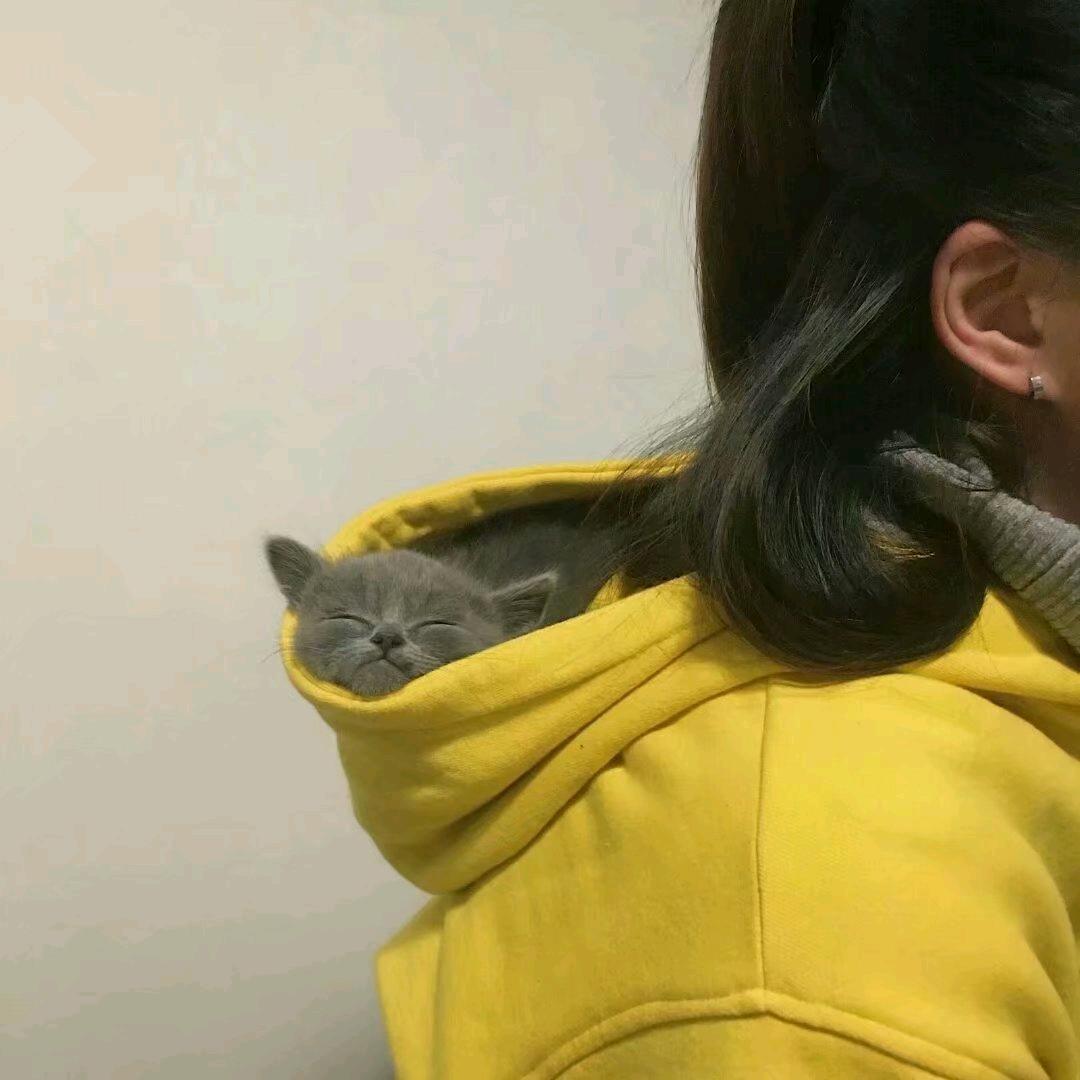 蝴蝶结怎么系🦋