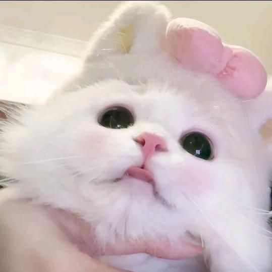 睡醒就困