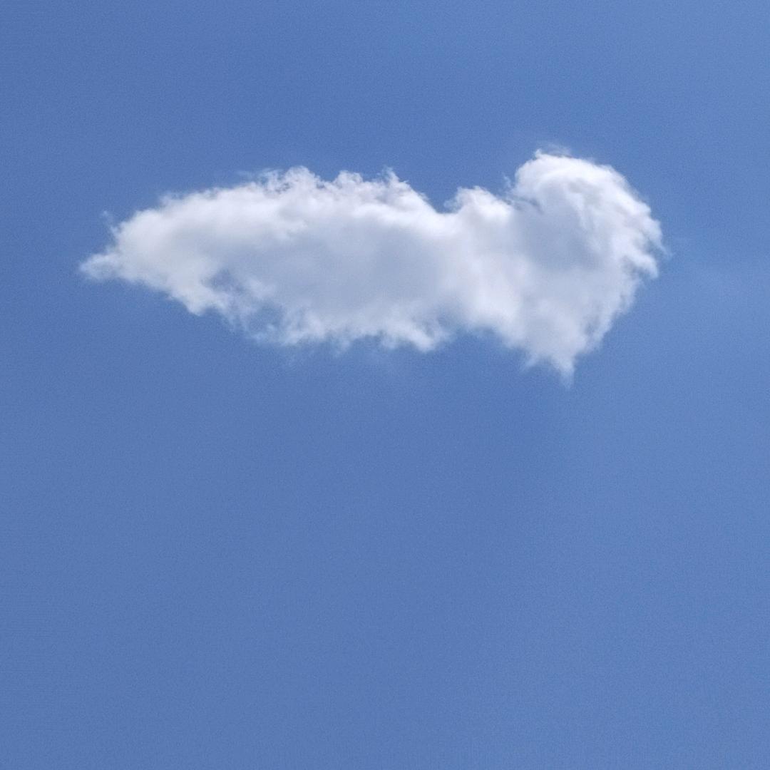 落地花开