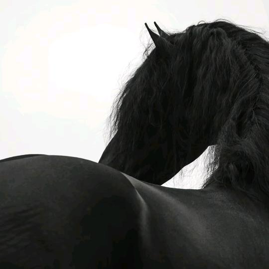 ㅤ ㅤ
