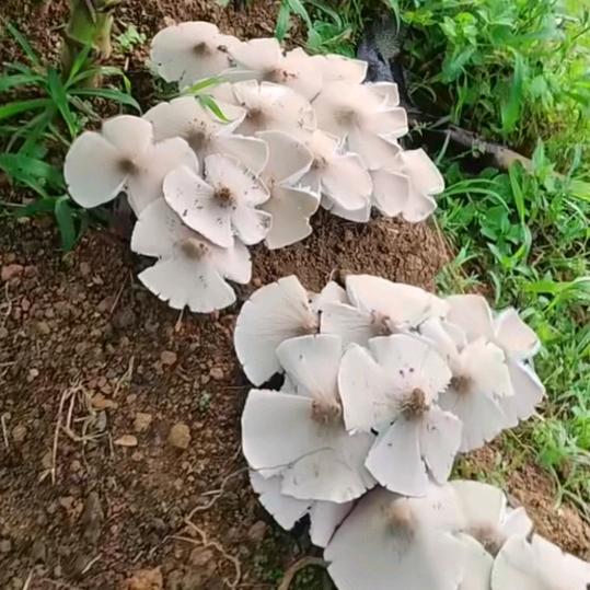 余生愛自己