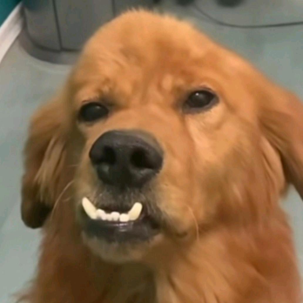 诶嘿嘿