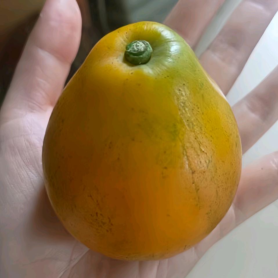 摇摇的花园
