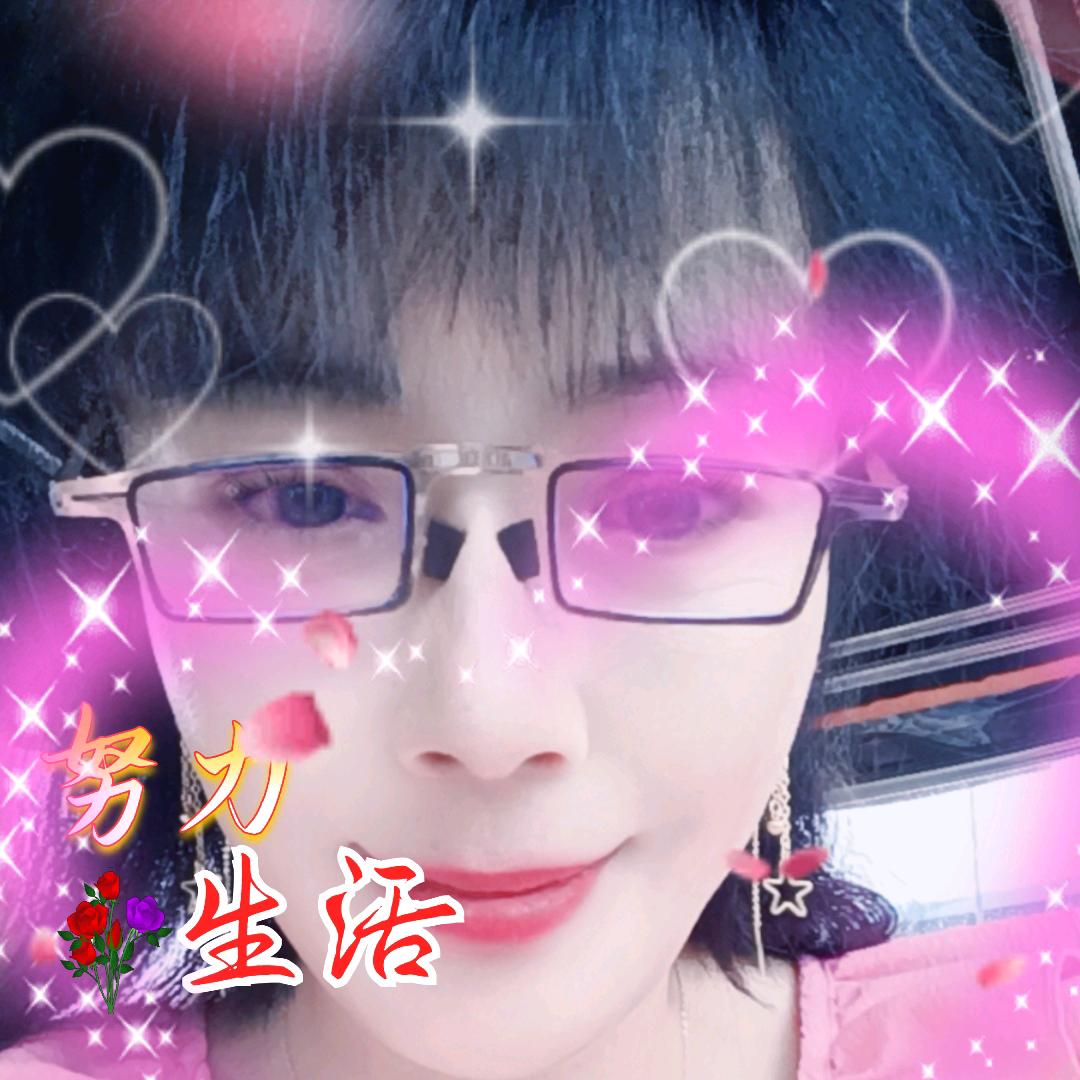 薛五姐
