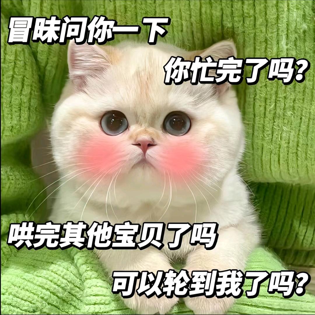 小可爱们