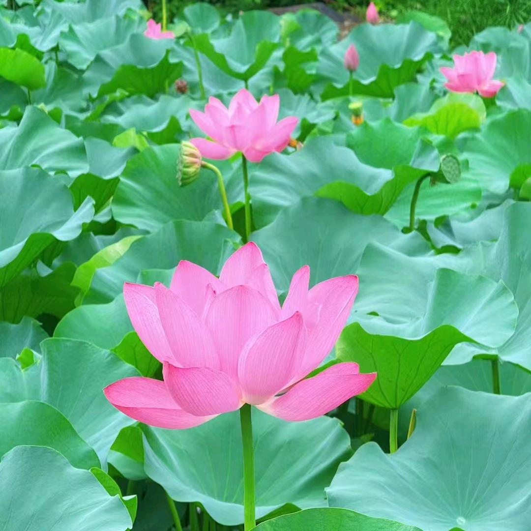 武穴陈开静
