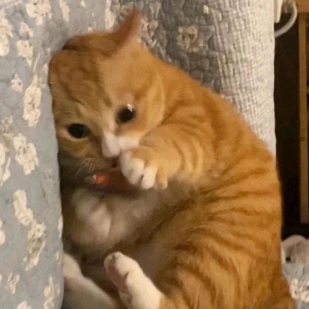 祝